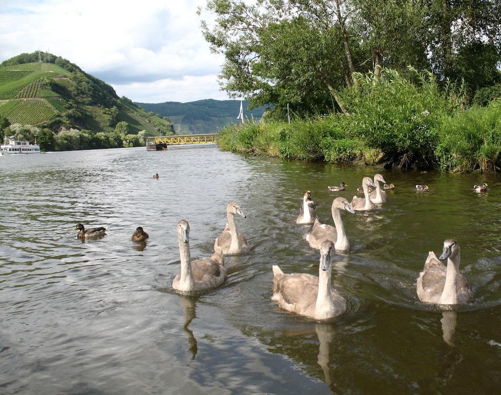 Residence Bellevue Boppard Zewnętrze zdjęcie